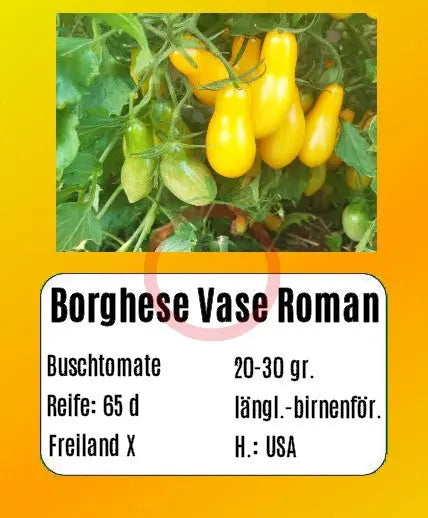 Borghese Vase Roman DER TOMATENFLÜSTERER