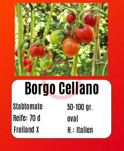 Borgo Cellano DER TOMATENFLÜSTERER