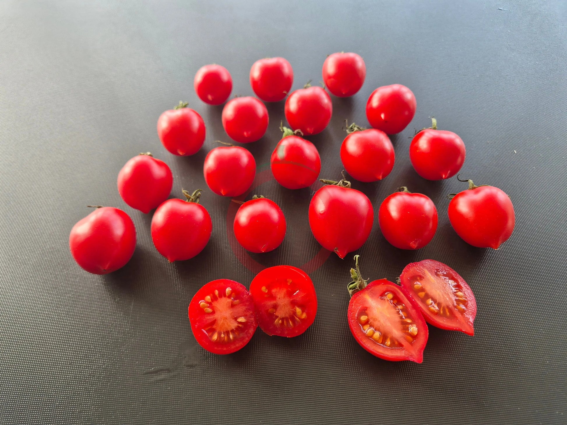 Borgo Cellano DER TOMATENFLÜSTERER