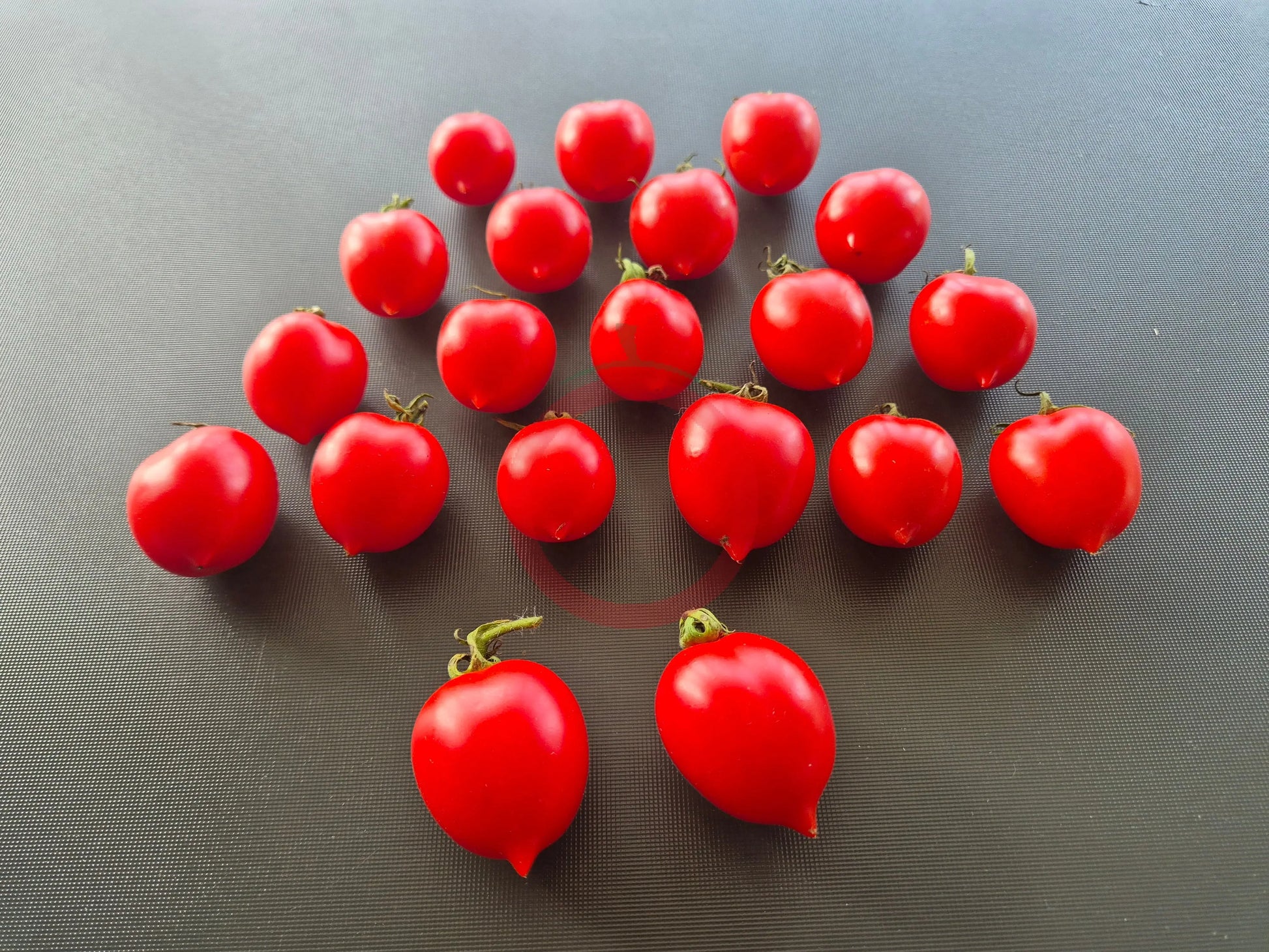 Borgo Cellano DER TOMATENFLÜSTERER
