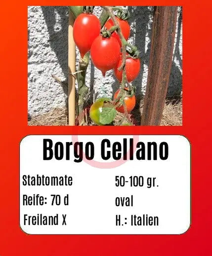 Borgo Cellano DER TOMATENFLÜSTERER