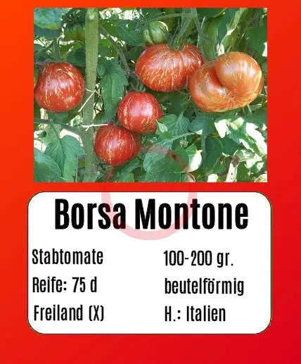 Borsa Montone DER TOMATENFLÜSTERER