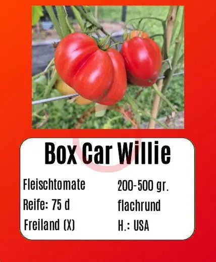 Box Car Willie DER TOMATENFLÜSTERER