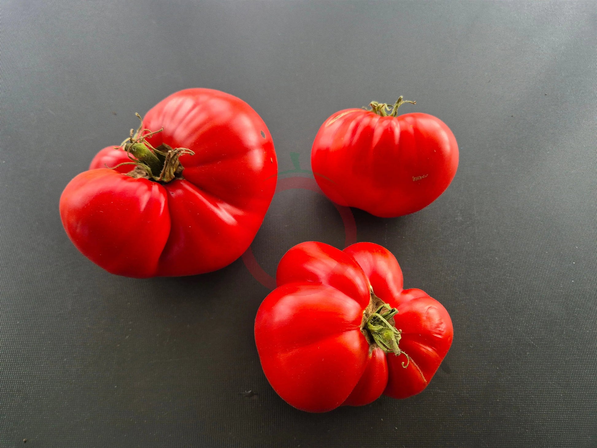 Box Car Willie DER TOMATENFLÜSTERER