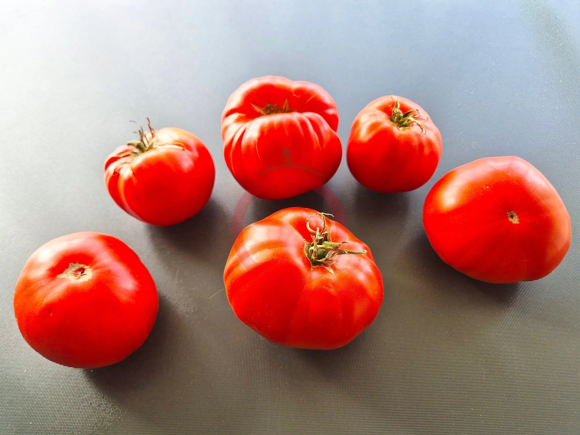 Bozner Riese DER TOMATENFLÜSTERER