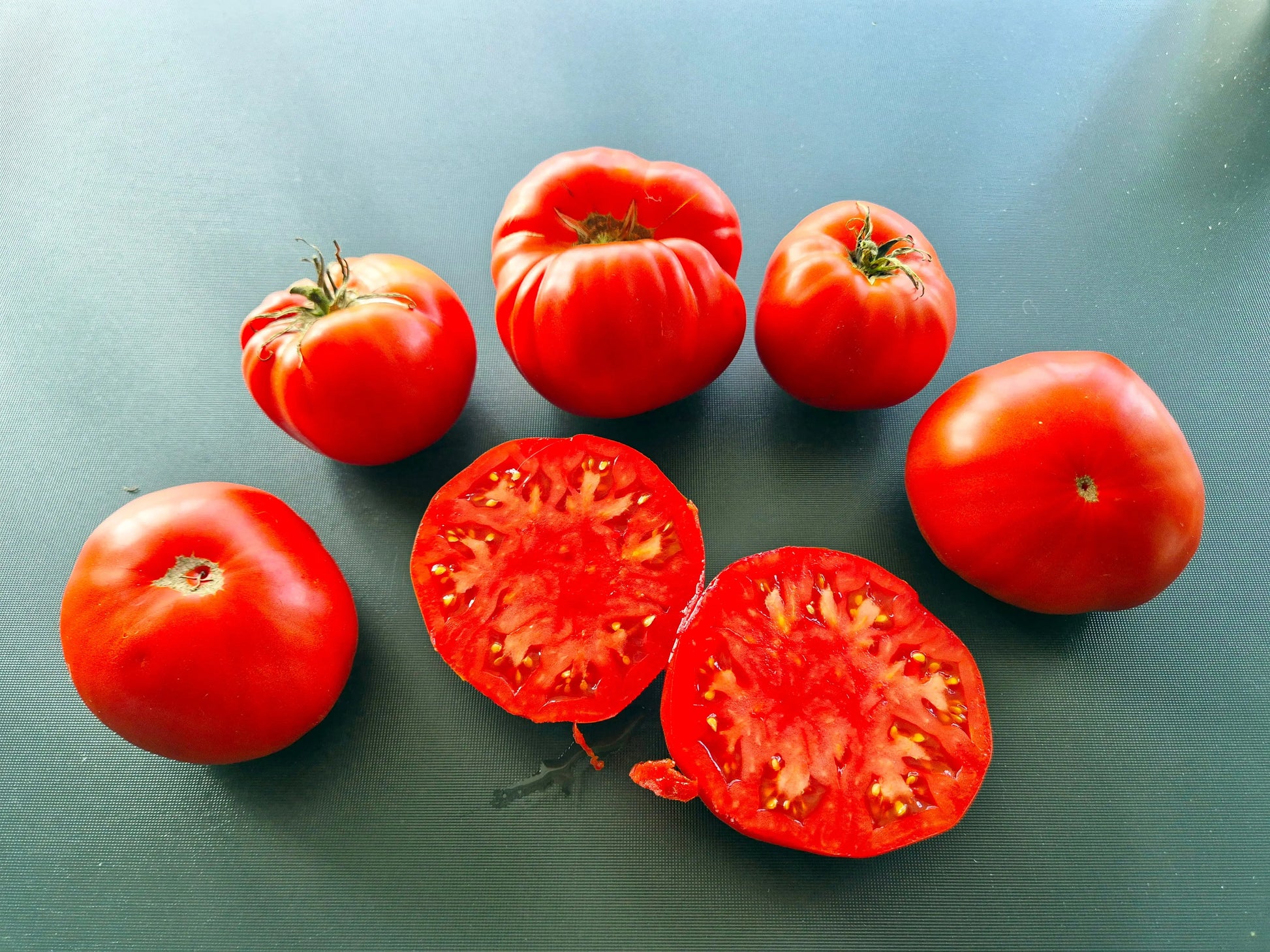 Bozner Riese DER TOMATENFLÜSTERER