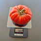 Bozner Riese DER TOMATENFLÜSTERER