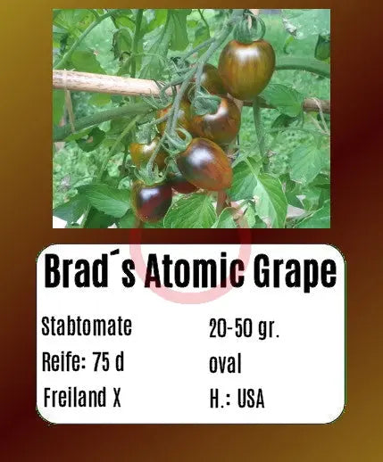 Brads Atomic Grape DER TOMATENFLÜSTERER