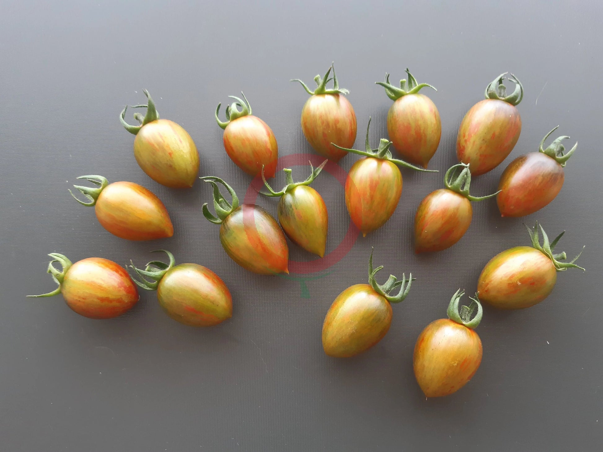 Brads Atomic Grape DER TOMATENFLÜSTERER