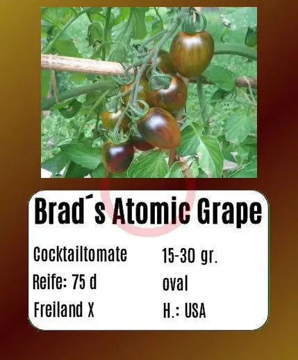 Brads Atomic Grape DER TOMATENFLÜSTERER