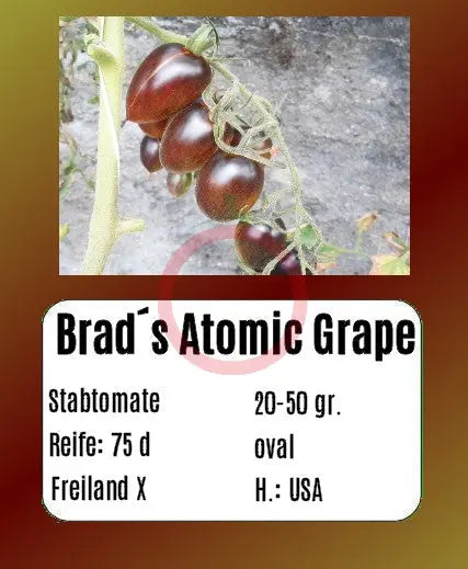 Brads Atomic Grape DER TOMATENFLÜSTERER