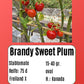 Brandy Sweet Plum DER TOMATENFLÜSTERER