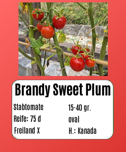 Brandy Sweet Plum DER TOMATENFLÜSTERER