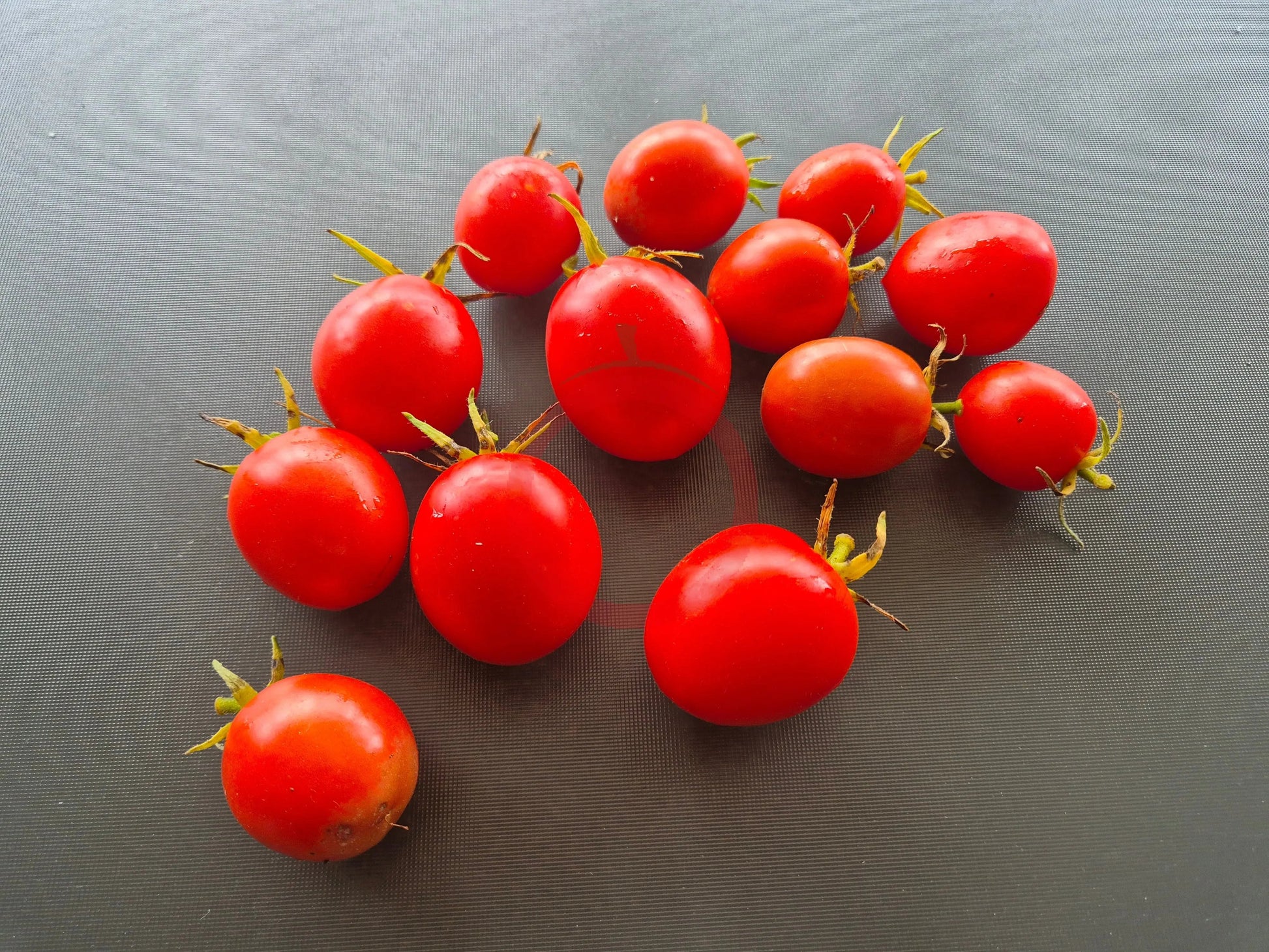 Brandy Sweet Plum DER TOMATENFLÜSTERER