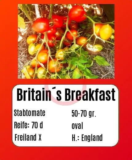 Britain`s Breakfast DER TOMATENFLÜSTERER