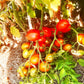 Britain`s Breakfast DER TOMATENFLÜSTERER