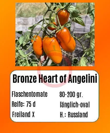 Bronze Heart of Angelini DER TOMATENFLÜSTERER