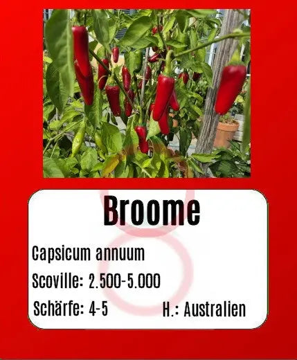 Broome DER TOMATENFLÜSTERER