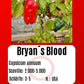 Bryan´s Blood DER TOMATENFLÜSTERER