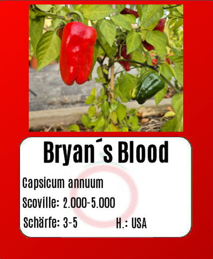 Bryan´s Blood DER TOMATENFLÜSTERER