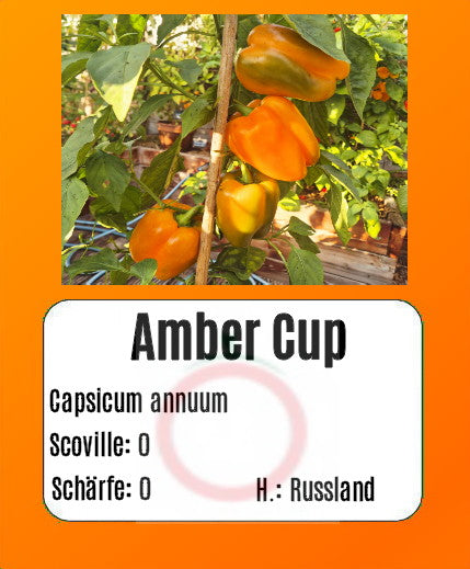 Buffalo Red (Kopie) DER TOMATENFLÜSTERER