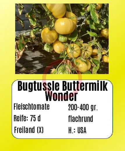 Bugtussle Buttermilk Wonder DER TOMATENFLÜSTERER