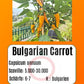 Bulgarian Carrot DER TOMATENFLÜSTERER