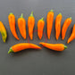 Bulgarian Carrot DER TOMATENFLÜSTERER