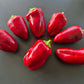 Bull´s Heart DER TOMATENFLÜSTERER