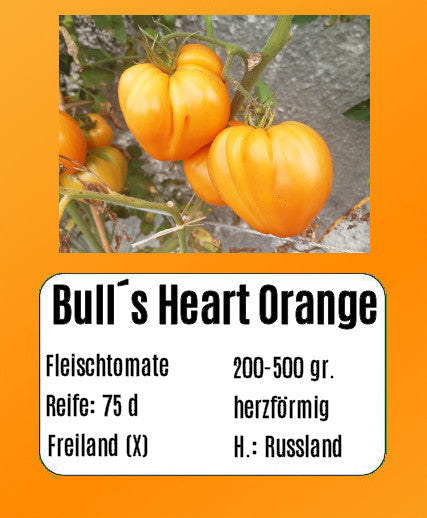 Bull´s Heart Orange DER TOMATENFLÜSTERER