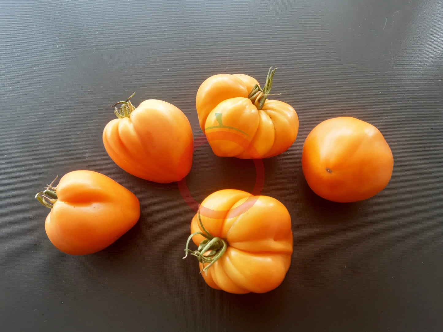 Bull´s Heart Orange DER TOMATENFLÜSTERER