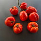 Burgess Stuffing DER TOMATENFLÜSTERER