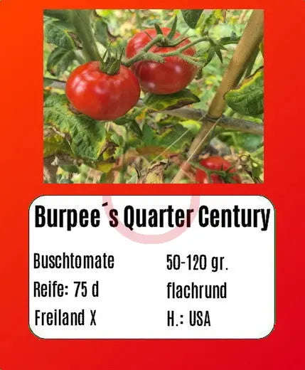 Burpee´s Quarter Century DER TOMATENFLÜSTERER