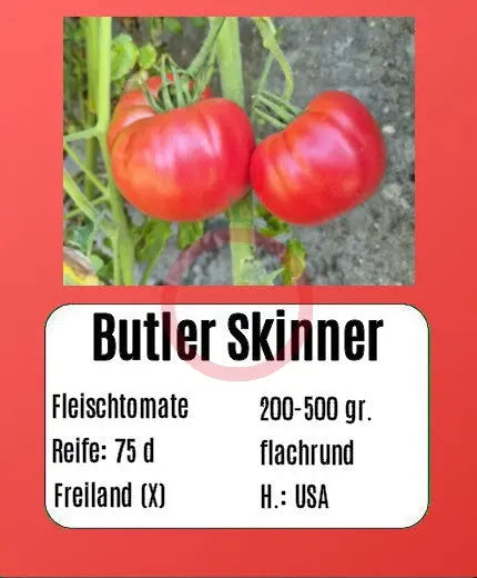 Butler Skinner DER TOMATENFLÜSTERER