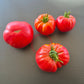 Butler Skinner DER TOMATENFLÜSTERER