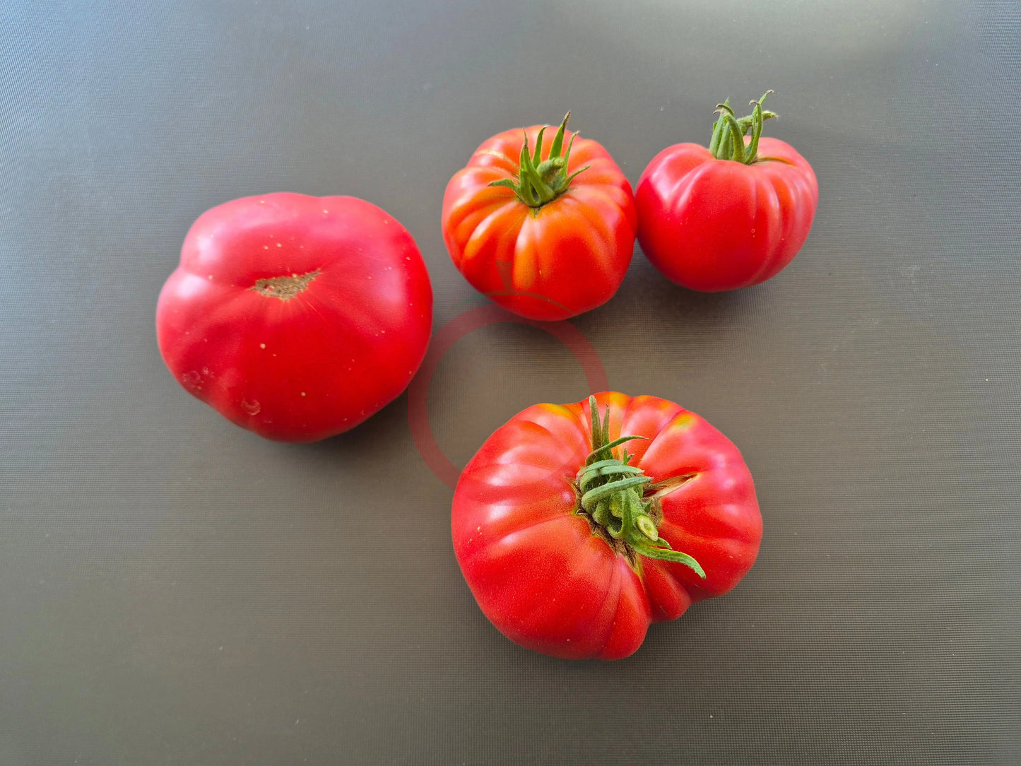 Butler Skinner DER TOMATENFLÜSTERER