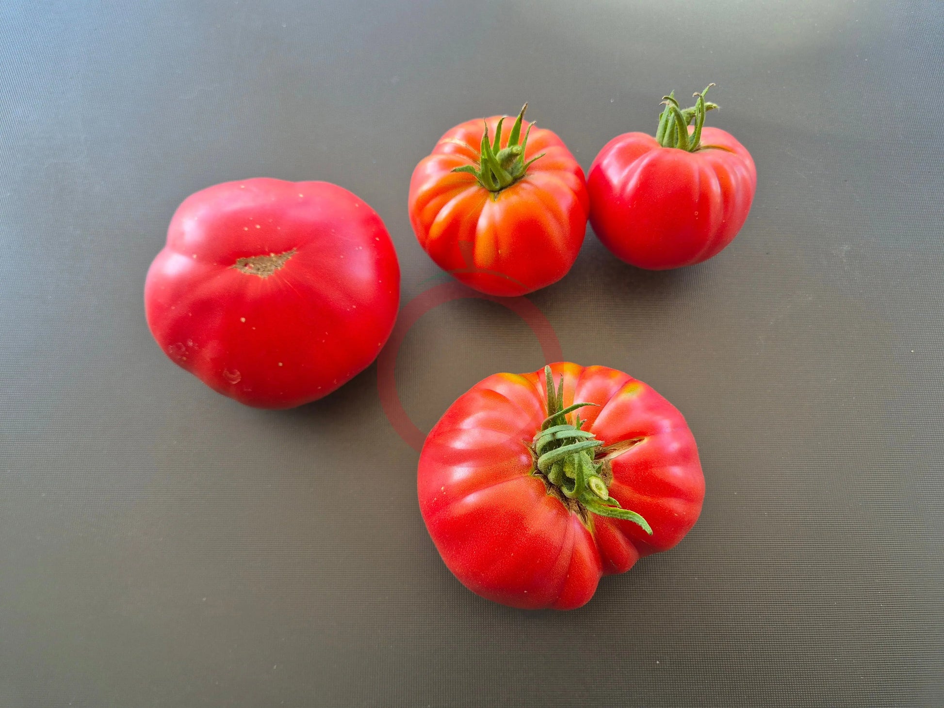 Butler Skinner DER TOMATENFLÜSTERER