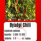 Byadgi Chili DER TOMATENFLÜSTERER