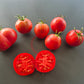 Caitlins´s Lucky Stripes DER TOMATENFLÜSTERER