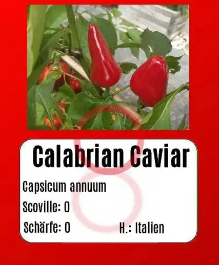 Calabrian Caviar DER TOMATENFLÜSTERER