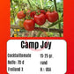 Camp Joy DER TOMATENFLÜSTERER