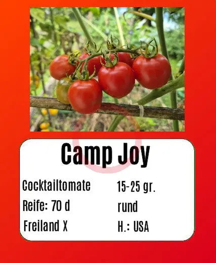 Camp Joy DER TOMATENFLÜSTERER
