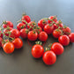 Camp Joy DER TOMATENFLÜSTERER