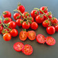Camp Joy DER TOMATENFLÜSTERER