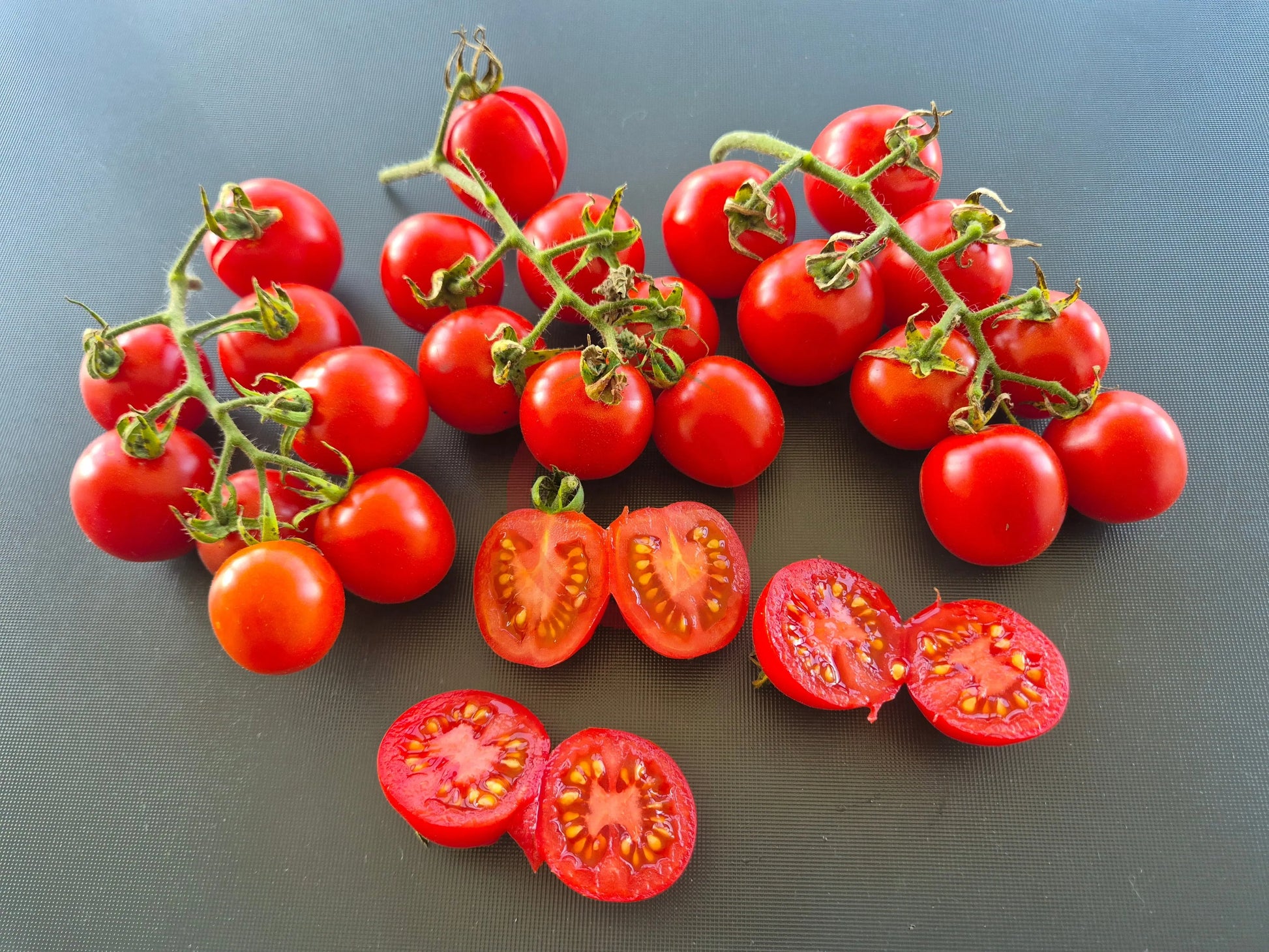 Camp Joy DER TOMATENFLÜSTERER