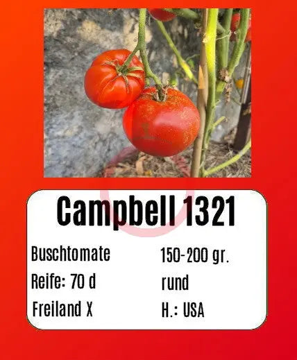 Campbell 1321 DER TOMATENFLÜSTERER