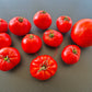 Campbell 1321 DER TOMATENFLÜSTERER