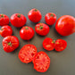 Campbell 1321 DER TOMATENFLÜSTERER