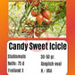 Candy Sweet Icicle DER TOMATENFLÜSTERER