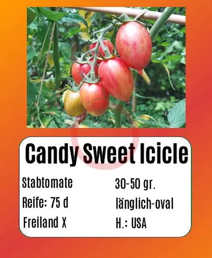 Candy Sweet Icicle DER TOMATENFLÜSTERER